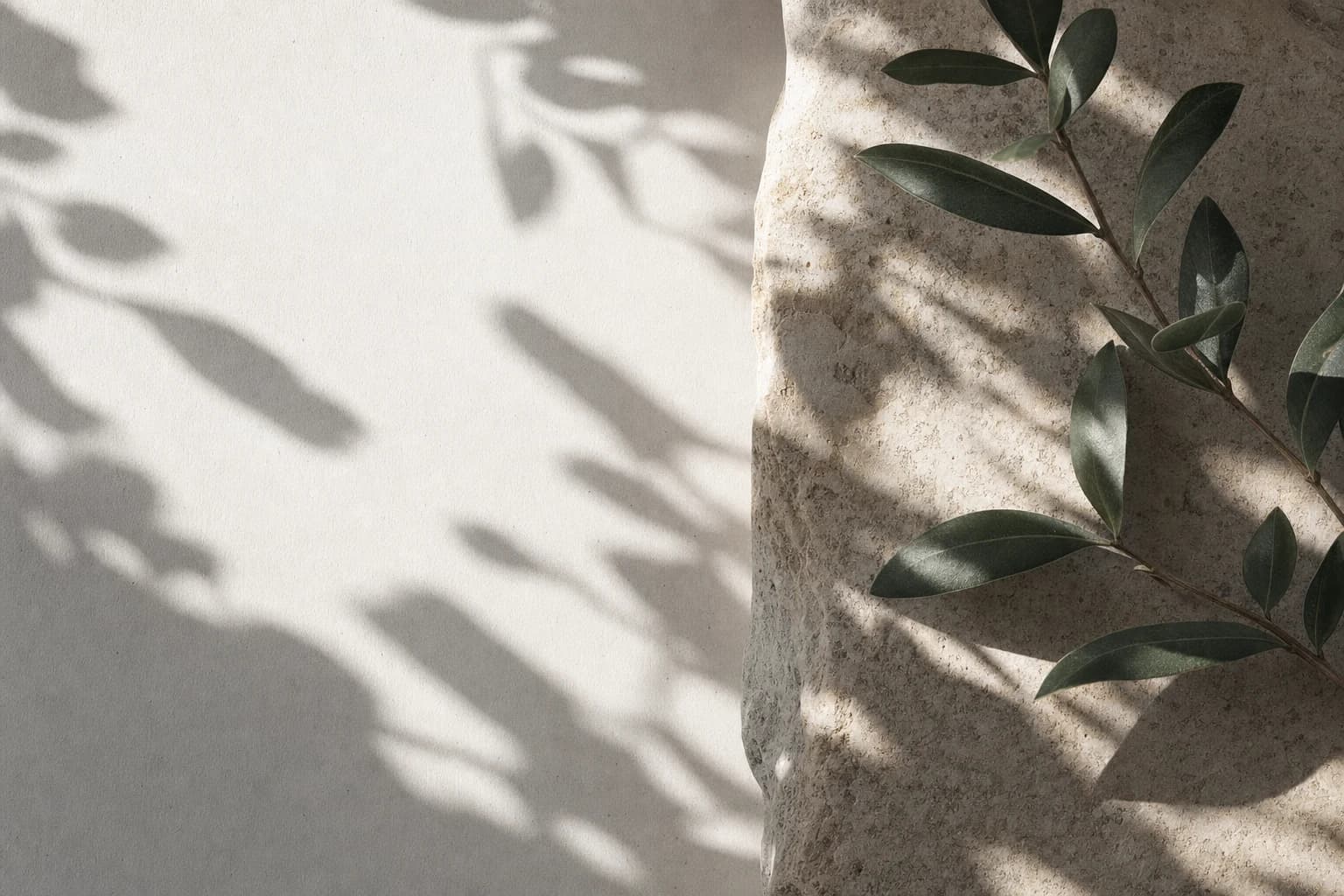 Botanical shadows across paper and stone